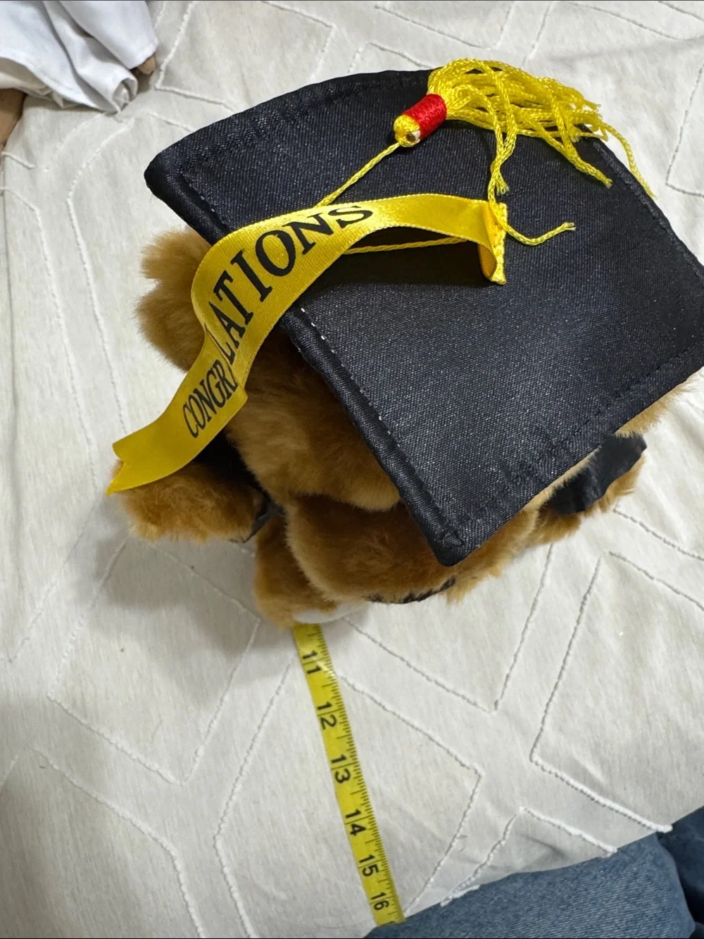 Plush Brown Graduation Teddy Bear in Black Gown